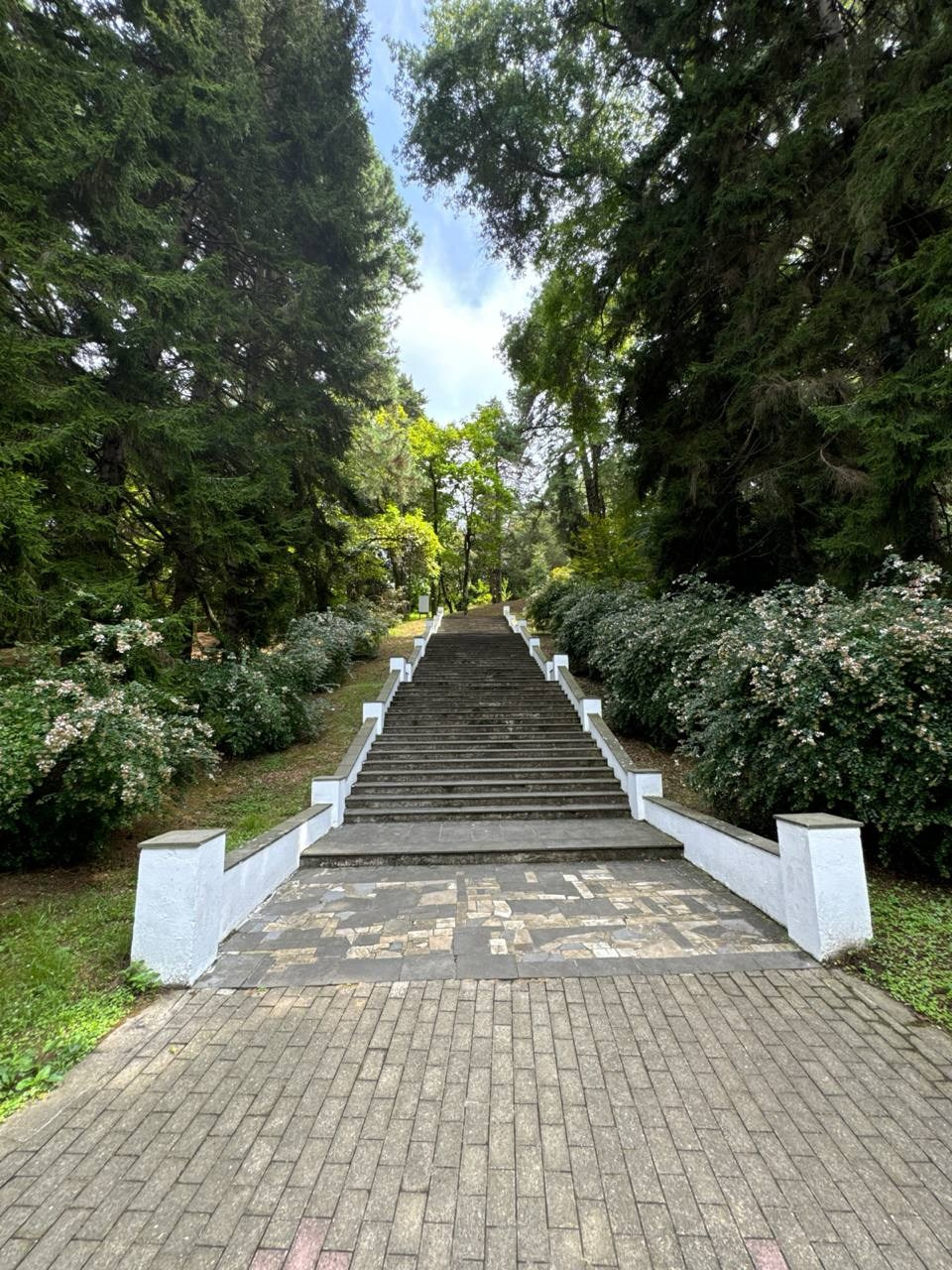 Romantic wedding ceremony in Batumi. Главная