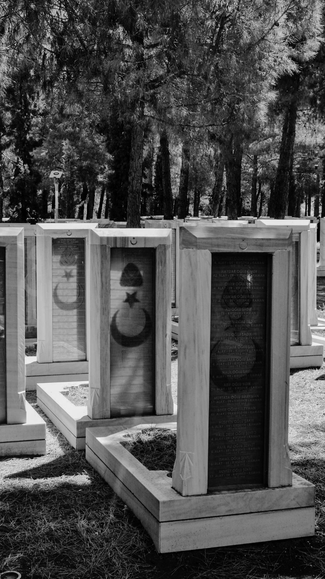 В Турции чтят память героев битвы при Чанаккале. Lavi de Rêve (travel)