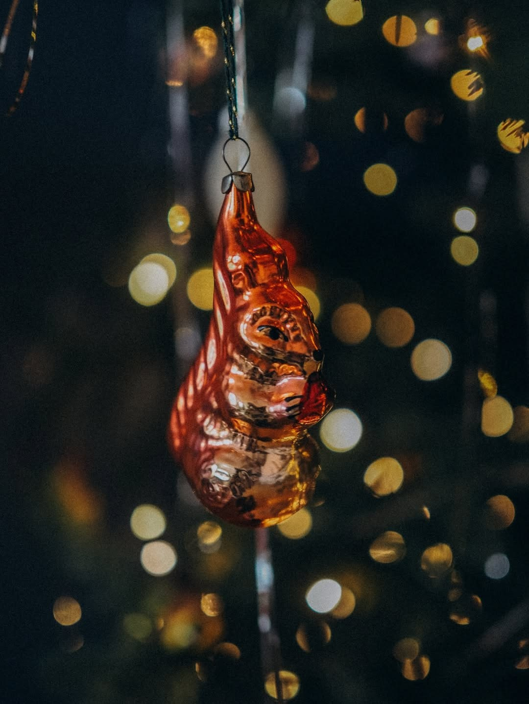 Студії новорічні. Весільний, сімейний фотограф Варшава