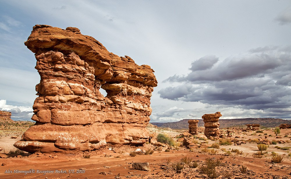Eagle’s View American Southwest. Pet, Senior, Landscape, portrait studio, photographer in Miami and Sou