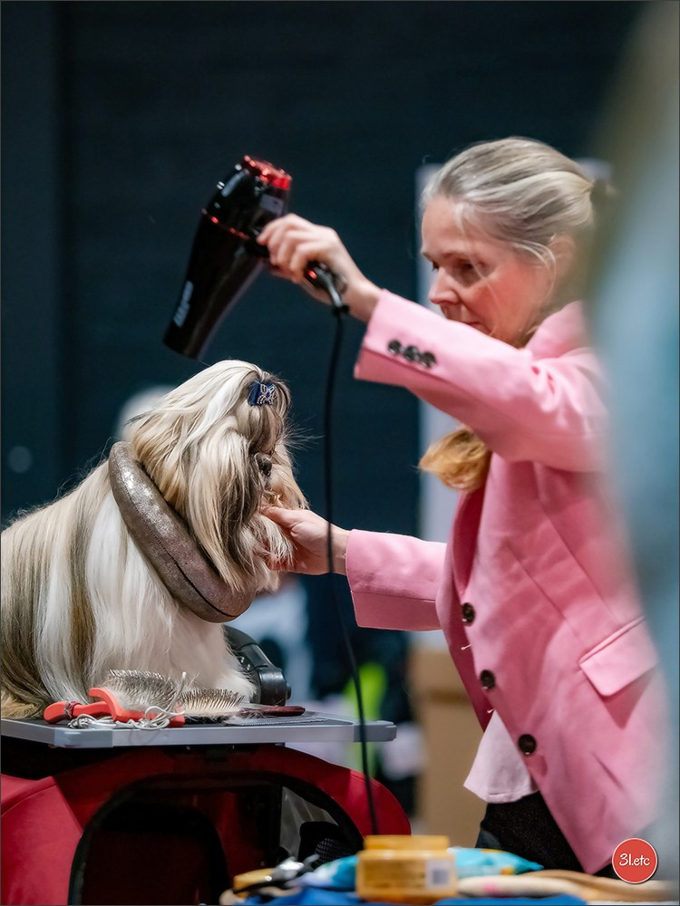 Photographie animalière. Photographe à Strasbourg | Portraits, Studio, Enfants, Événements