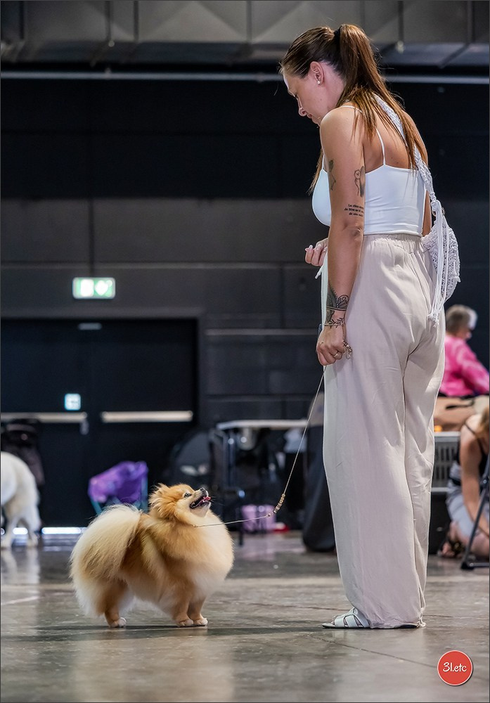 🇱🇺 LUXEMBOURG 🇱🇺 International Dog Show 🇱🇺 31/08 - 01/09/2024. Photographe à Strasbourg | Portraits, Studio, Enfants, Événements