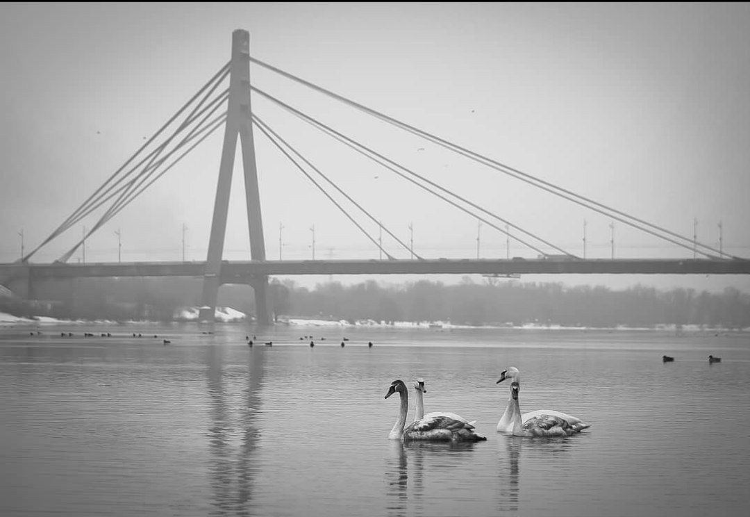 Авторський курс. Fotógrafo de bodas y familias en España, Málaga, Marbella