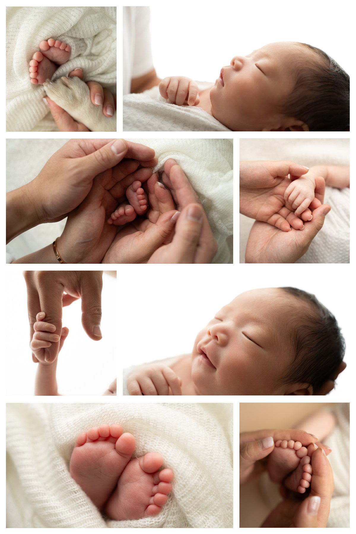 Posed Newborn. Maternity, family and newborn photography in San Francisco Bay Area