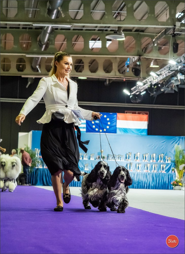 🇱🇺 LUXEMBOURG 🇱🇺 International Dog Show 🇱🇺 31/08 - 01/09/2024. Photographe à Strasbourg | Portraits, Studio, Enfants, Événements