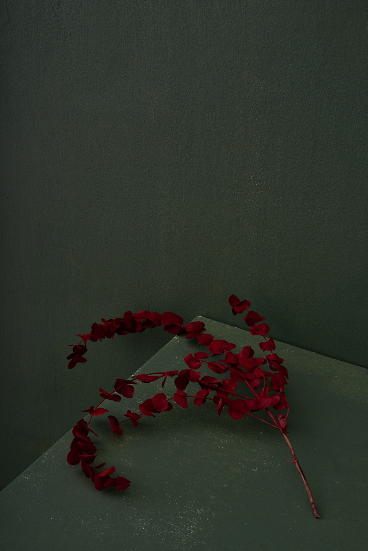 Evgeny Avrorin Photography