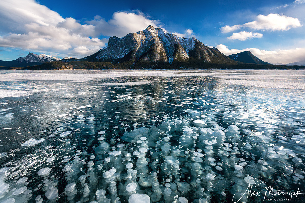 Canadian Winter Wonderland. Alex Mironyuk Photography