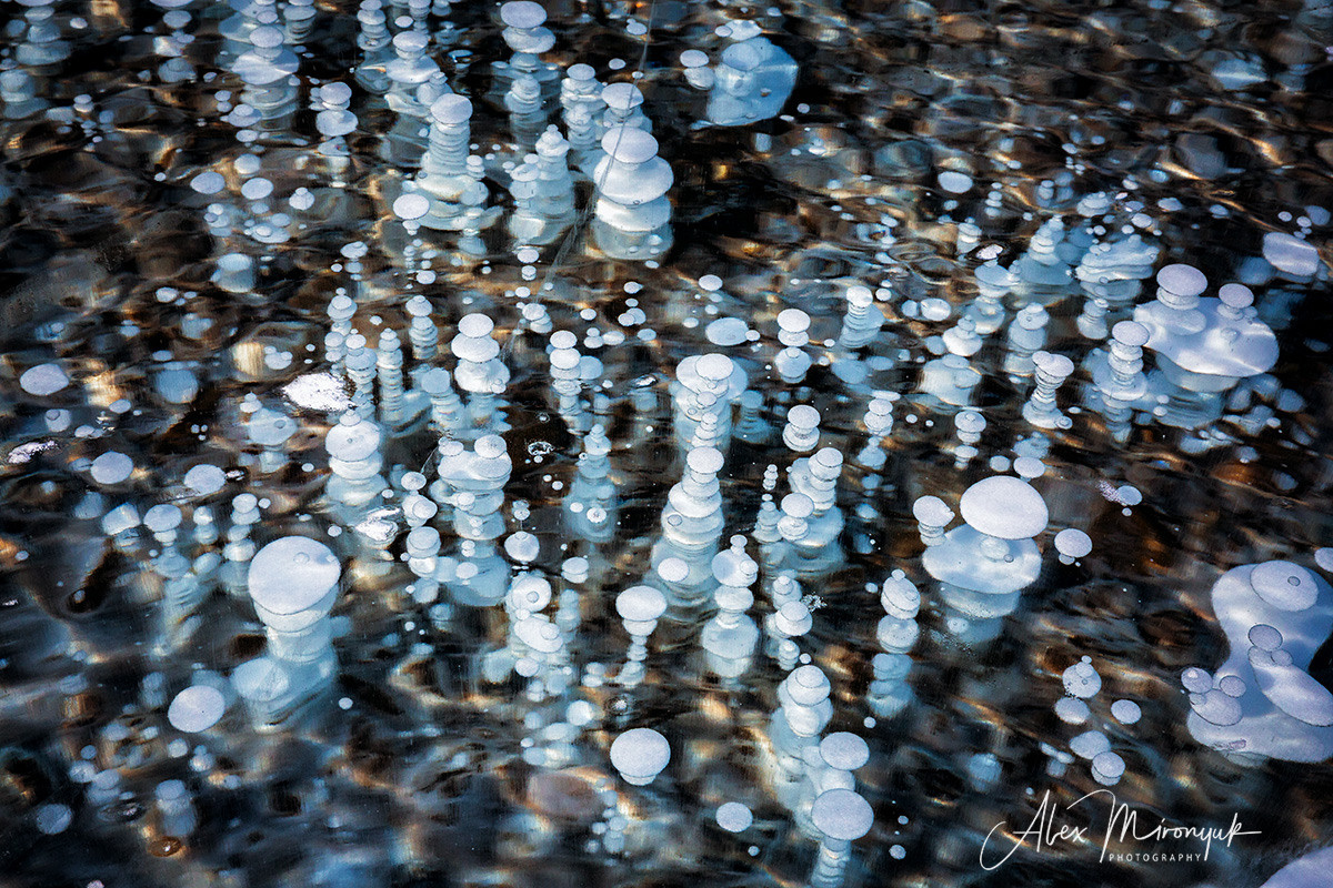 Canadian Winter Wonderland. Alex Mironyuk Photography