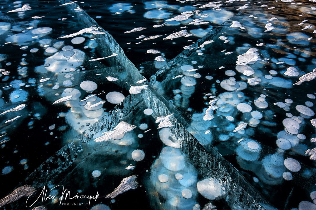 Canadian Winter Wonderland. Alex Mironyuk Photography