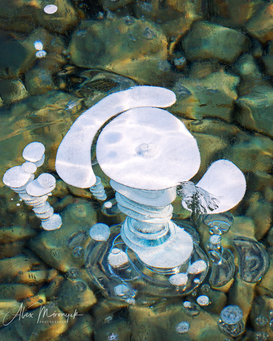 Canadian Winter Wonderland. Alex Mironyuk Photography