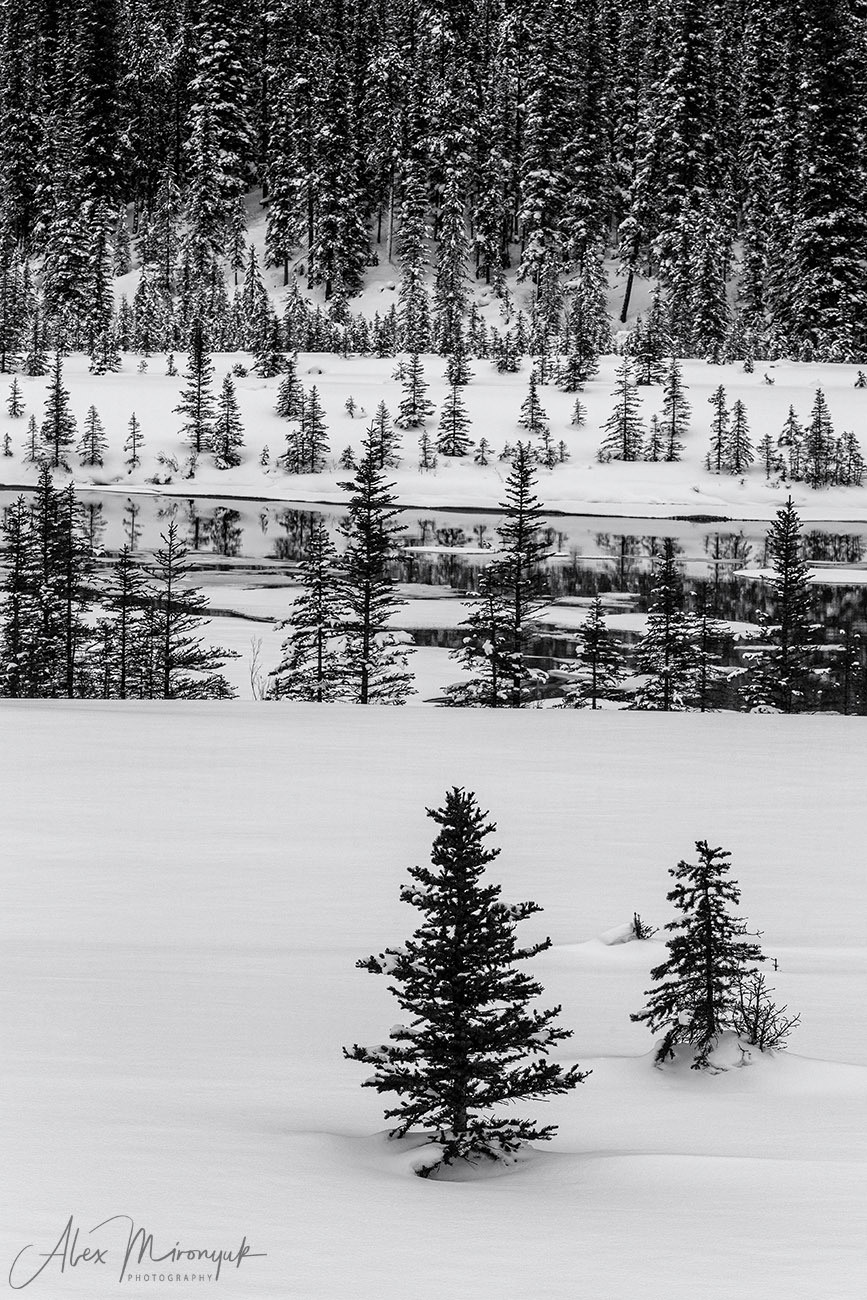Canadian Winter Wonderland. Alex Mironyuk Photography
