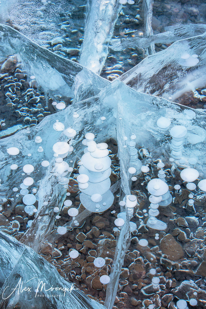 Canadian Winter Wonderland. Alex Mironyuk Photography