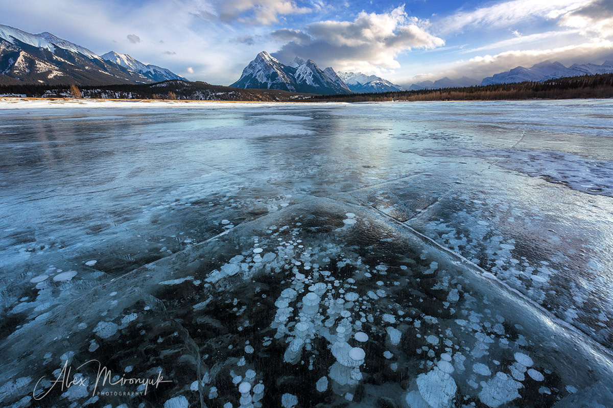 Canadian Winter Wonderland. Alex Mironyuk Photography