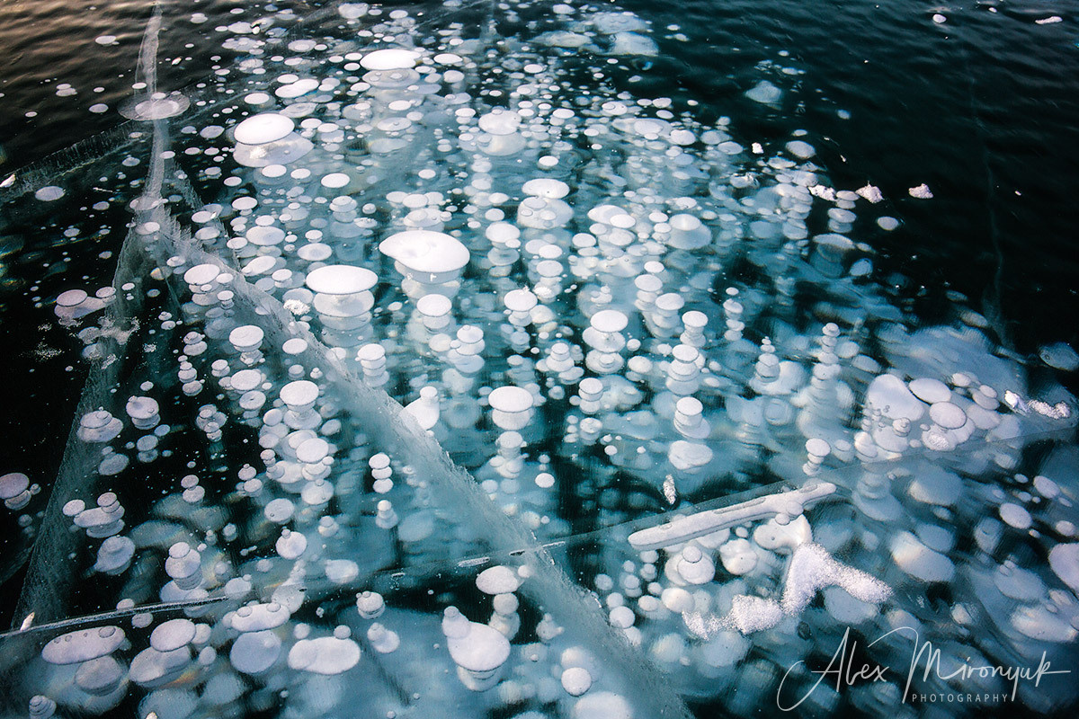 Canadian Winter Wonderland. Alex Mironyuk Photography