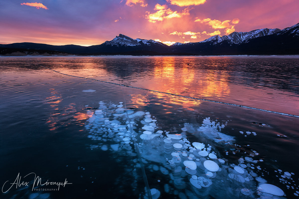 Canadian Winter Wonderland. Alex Mironyuk Photography