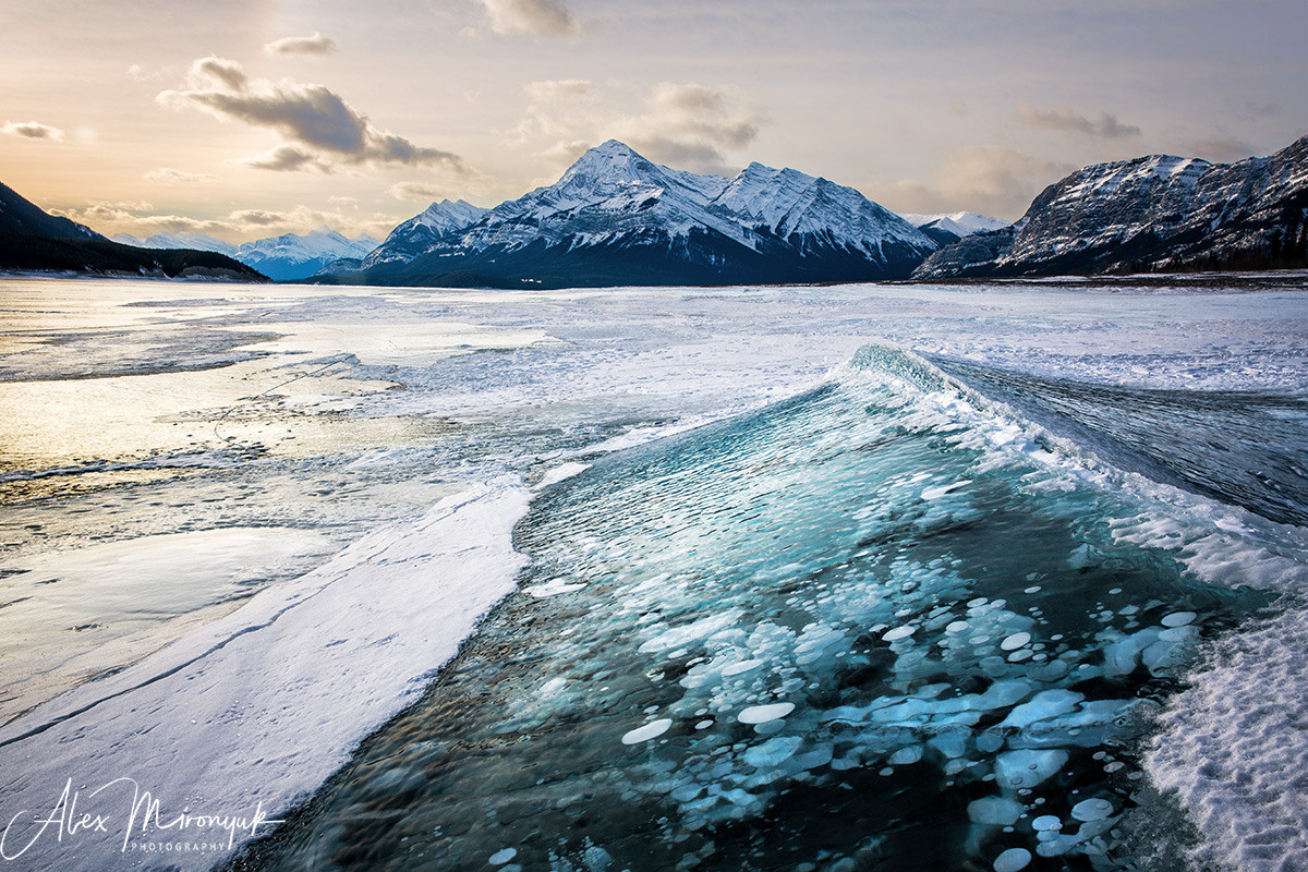 Canadian Winter Wonderland. Alex Mironyuk Photography
