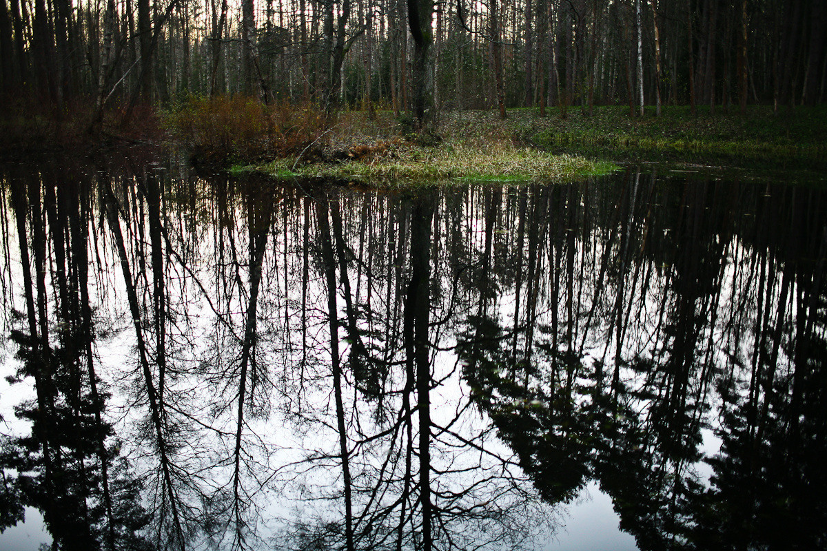 Natalie, woman of forest and sea. Victoria Dini. Art photography in London / Folkestone, UK