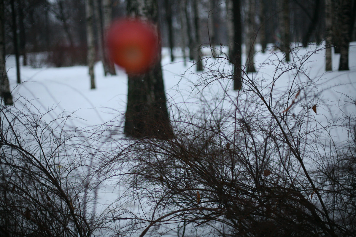 Люда и яблоки старой зимы. Виктория Дини. Арт-фотография