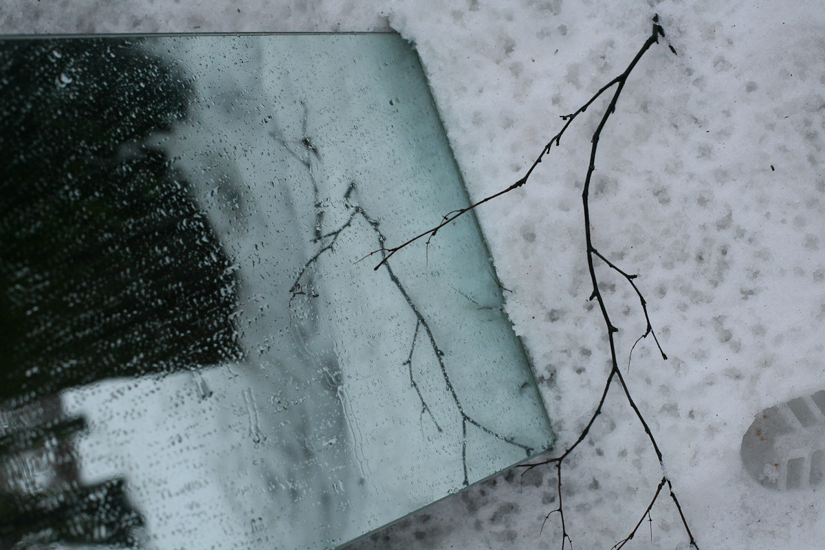 Люда и яблоки старой зимы. Виктория Дини. Арт-фотография