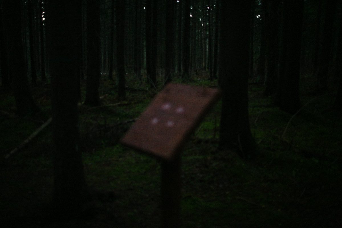 Natalie, woman of forest and sea. Victoria Dini. Art photography in London / Folkestone, UK