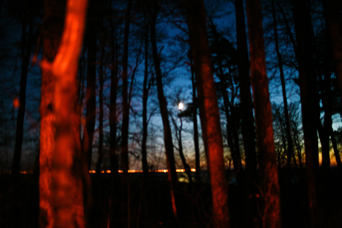 Natalie, woman of forest and sea. Victoria Dini. Art photography in London / Folkestone, UK