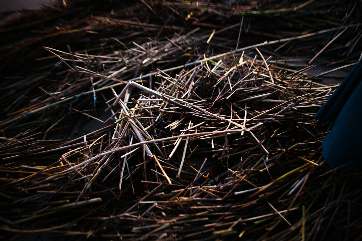 Natalie, woman of forest and sea. Victoria Dini. Art photography in London / Folkestone, UK