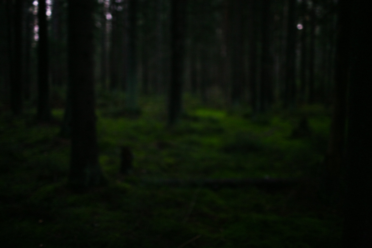 Natalie, woman of forest and sea. Victoria Dini. Art photography in London / Folkestone, UK