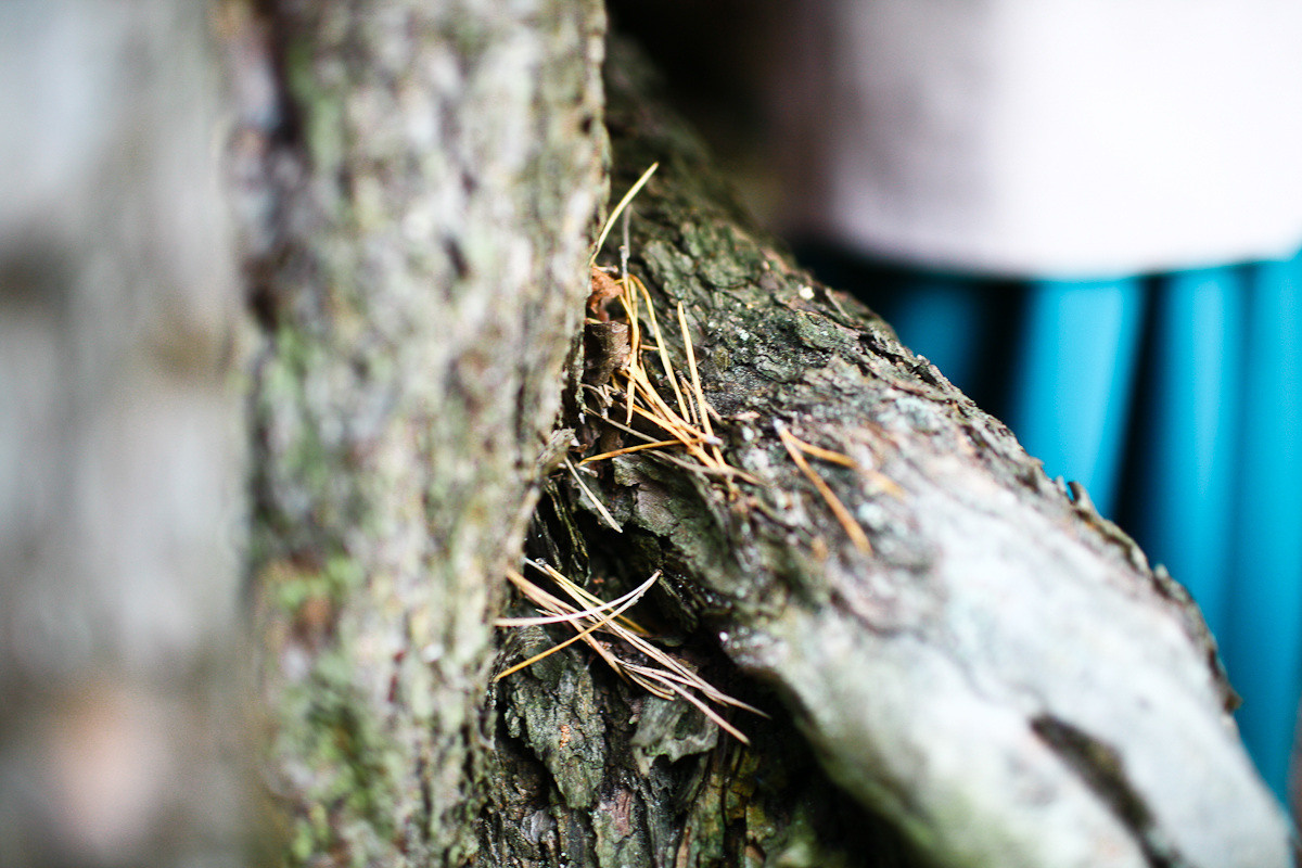 Natalie, woman of forest and sea. Victoria Dini. Art photography in London / Folkestone, UK