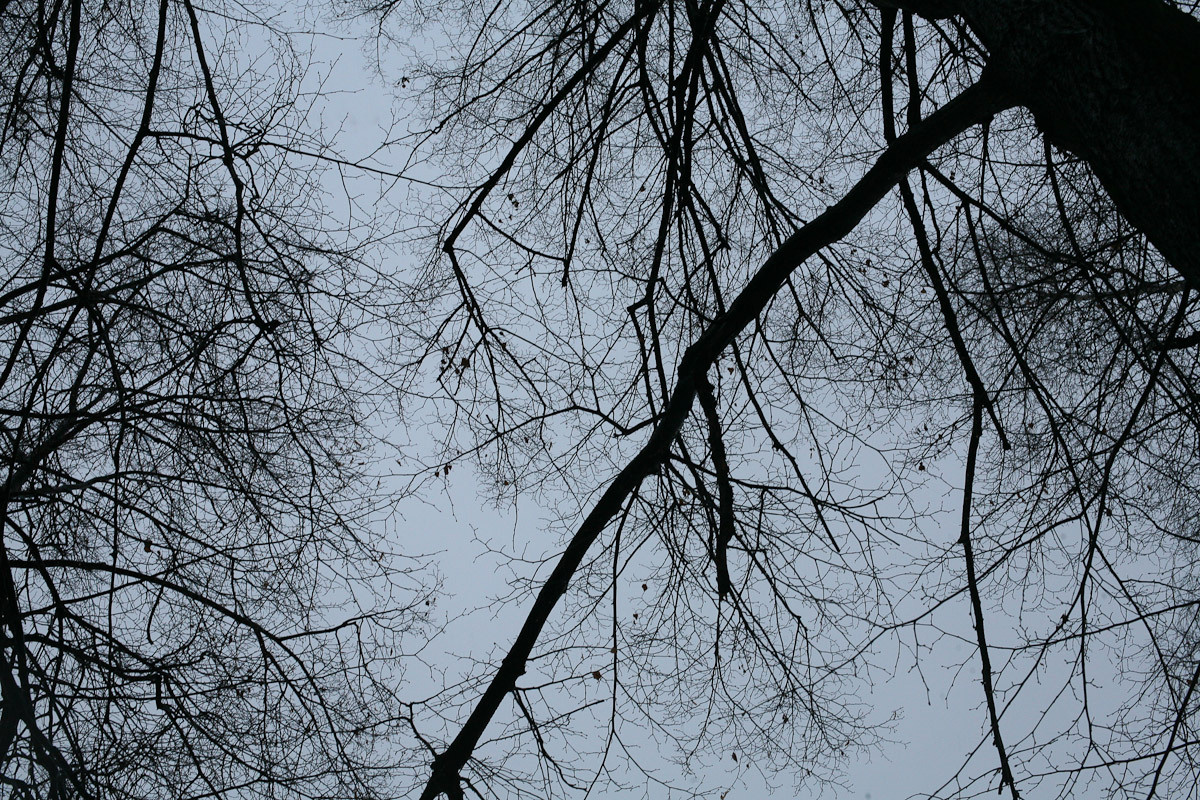 Люда и яблоки старой зимы. Виктория Дини. Арт-фотография