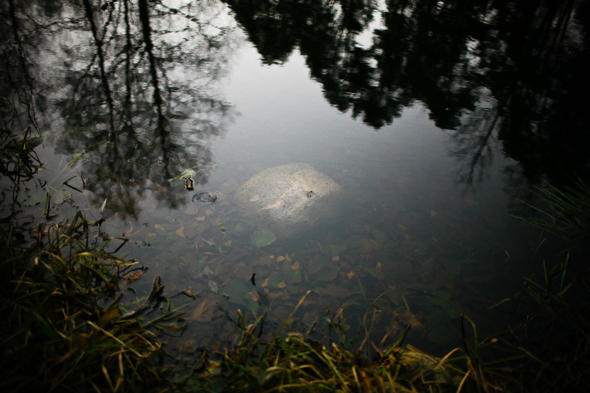 Natalie, woman of forest and sea. Victoria Dini. Art photography in London / Folkestone, UK