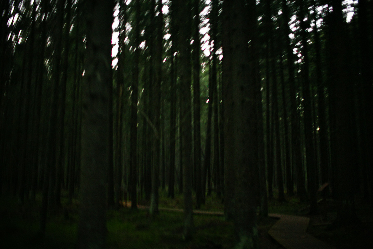Natalie, woman of forest and sea. Victoria Dini. Art photography in London / Folkestone, UK