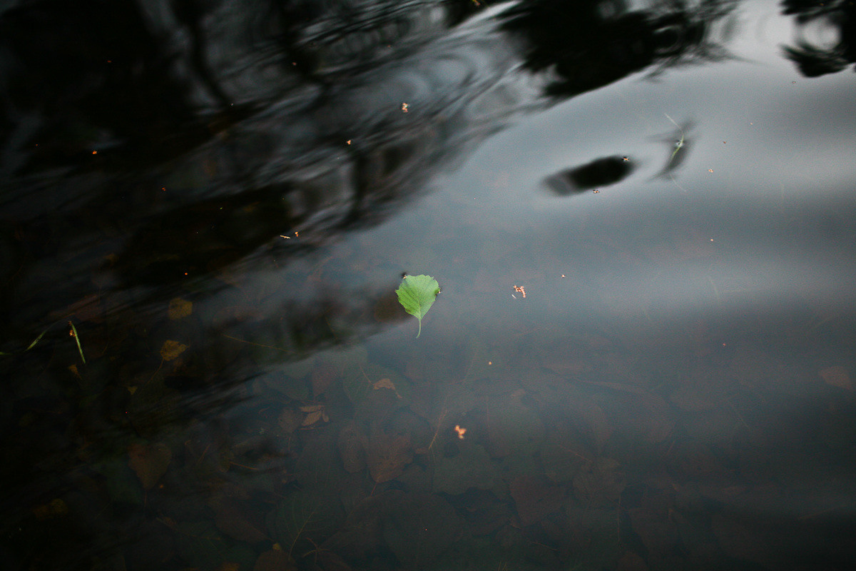 Natalie, woman of forest and sea. Victoria Dini. Art photography in London / Folkestone, UK