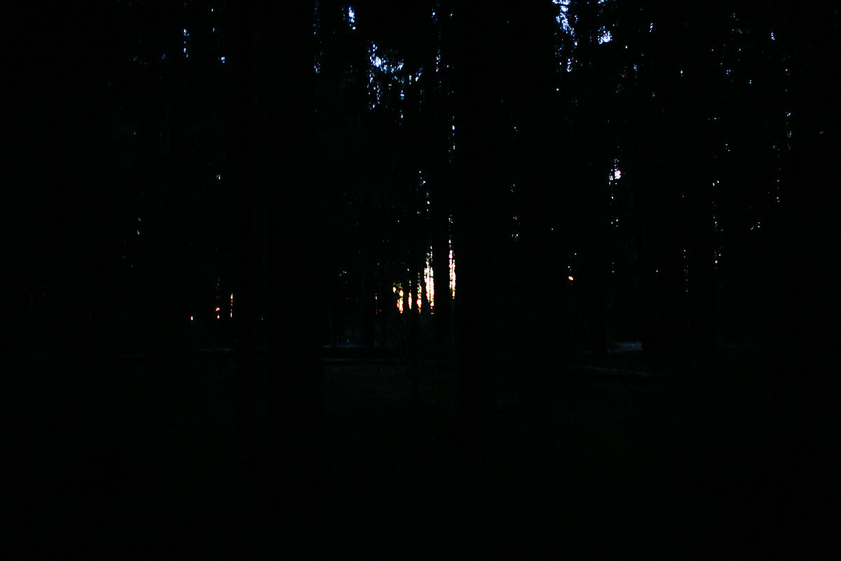 Natalie, woman of forest and sea. Victoria Dini. Art photography in London / Folkestone, UK