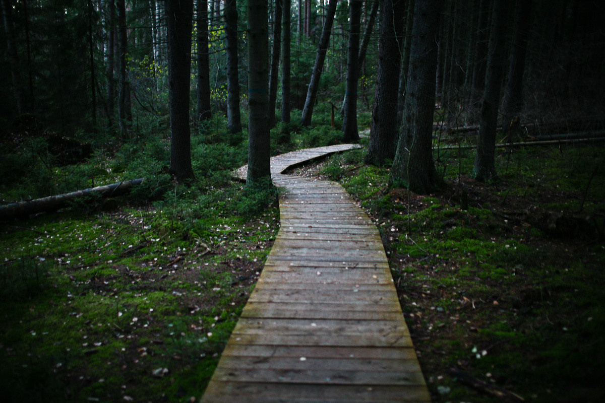 Natalie, woman of forest and sea. Victoria Dini. Art photography in London / Folkestone, UK