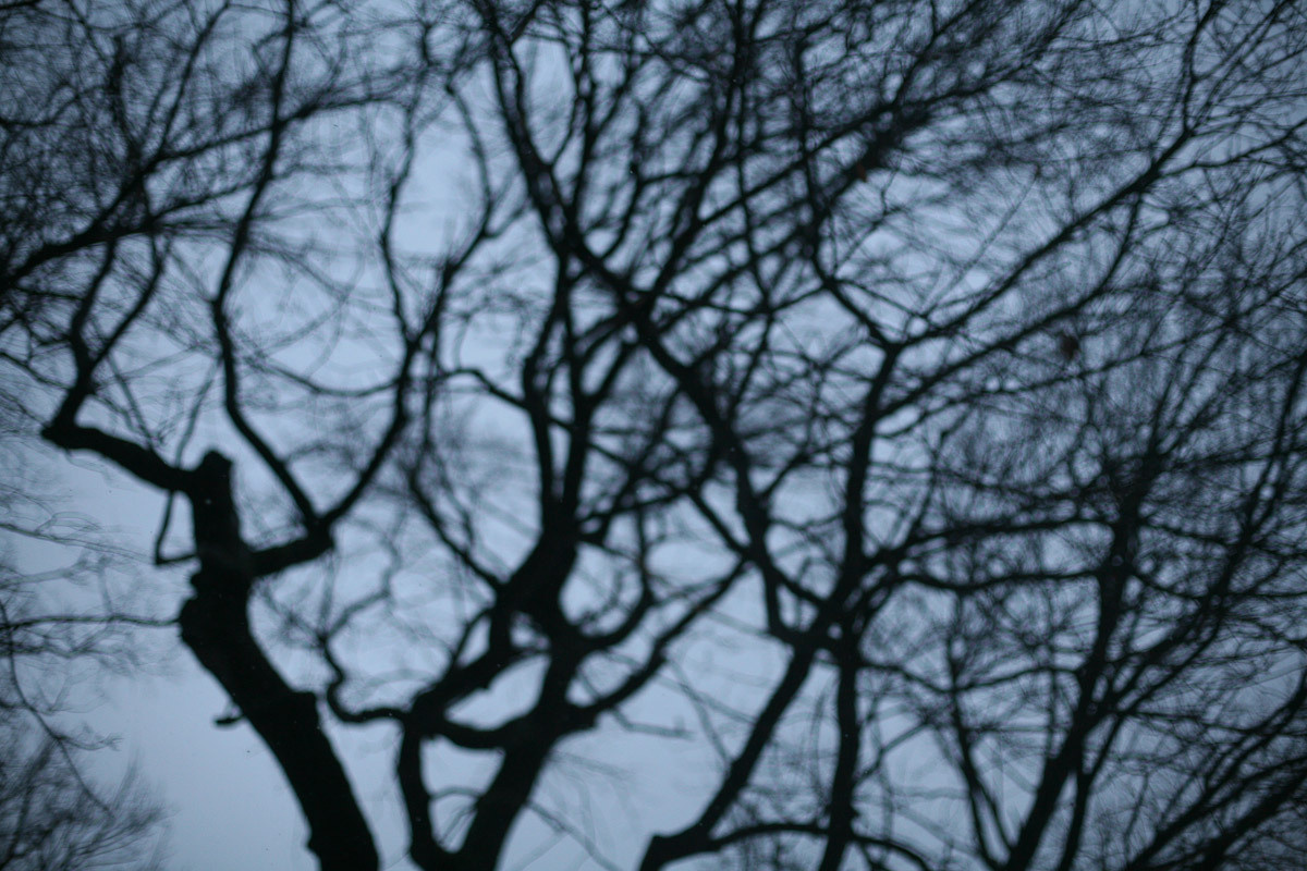 Люда и яблоки старой зимы. Виктория Дини. Арт-фотография