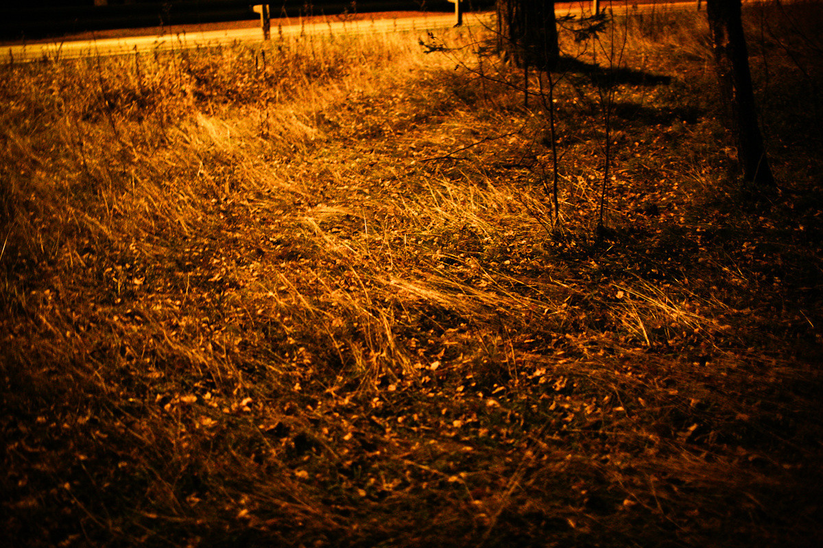 Natalie, woman of forest and sea. Victoria Dini. Art photography in London / Folkestone, UK