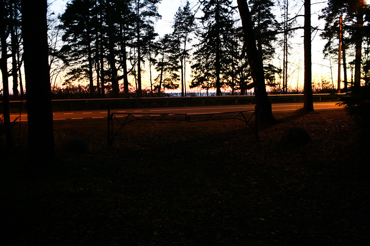 Natalie, woman of forest and sea. Victoria Dini. Art photography in London / Folkestone, UK