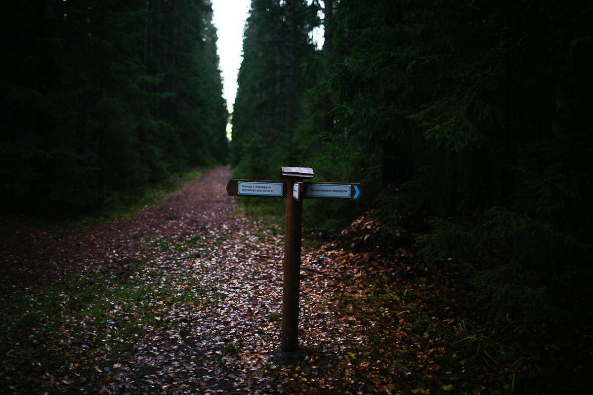 Natalie, woman of forest and sea. Victoria Dini. Art photography in London / Folkestone, UK