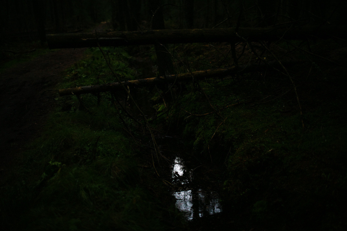 Natalie, woman of forest and sea. Victoria Dini. Art photography in London / Folkestone, UK