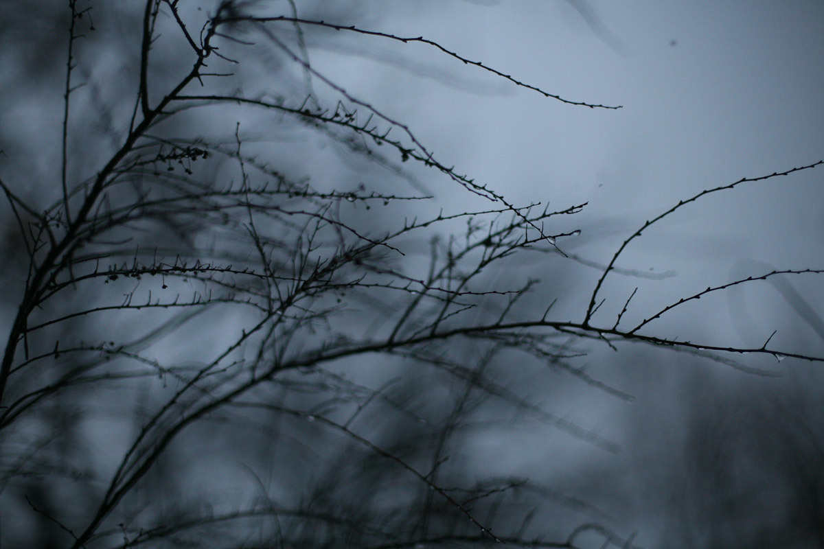 Люда и яблоки старой зимы. Виктория Дини. Арт-фотография