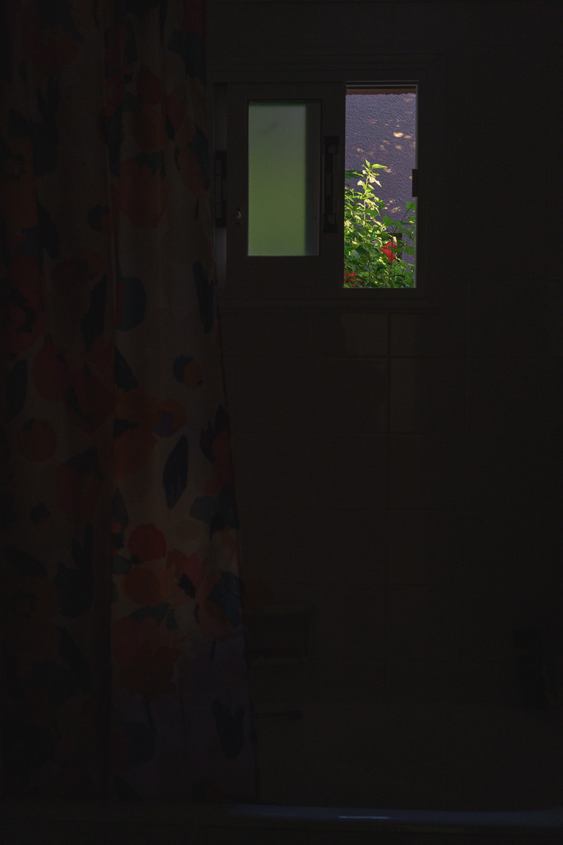 CY. Антонова | фото