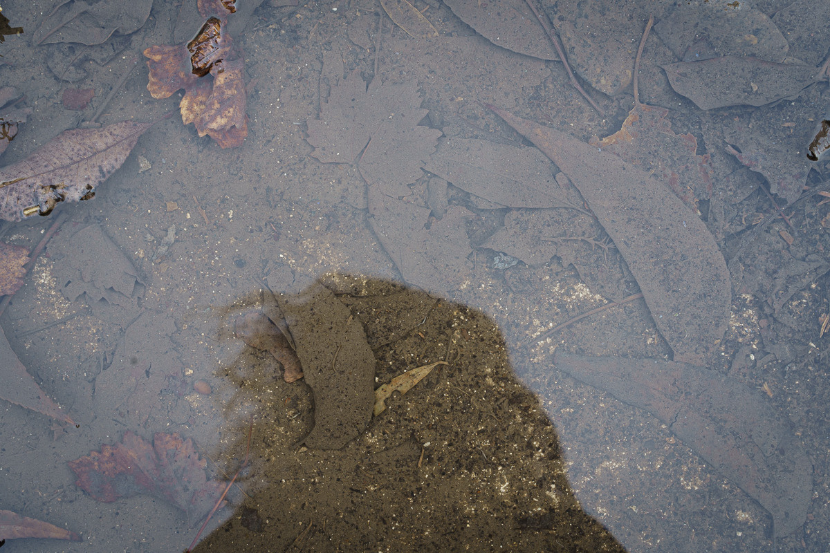 CY. Антонова | фото