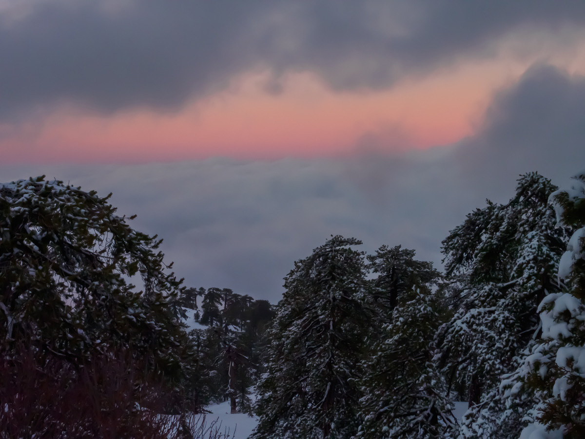 CY. Антонова | фото