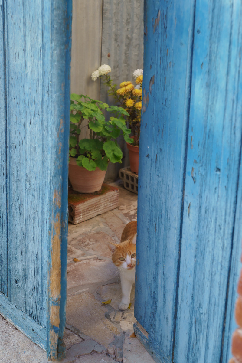 CY. Антонова | фото