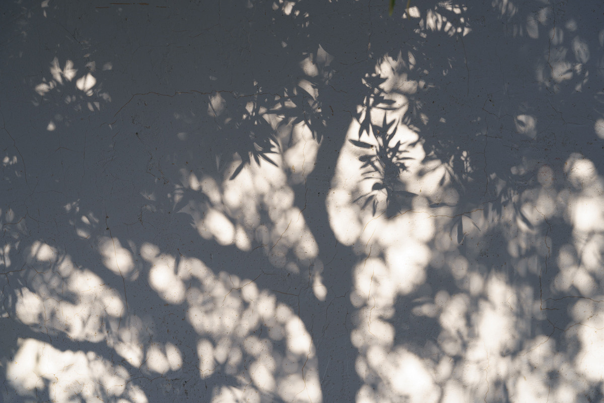 CY. Антонова | фото