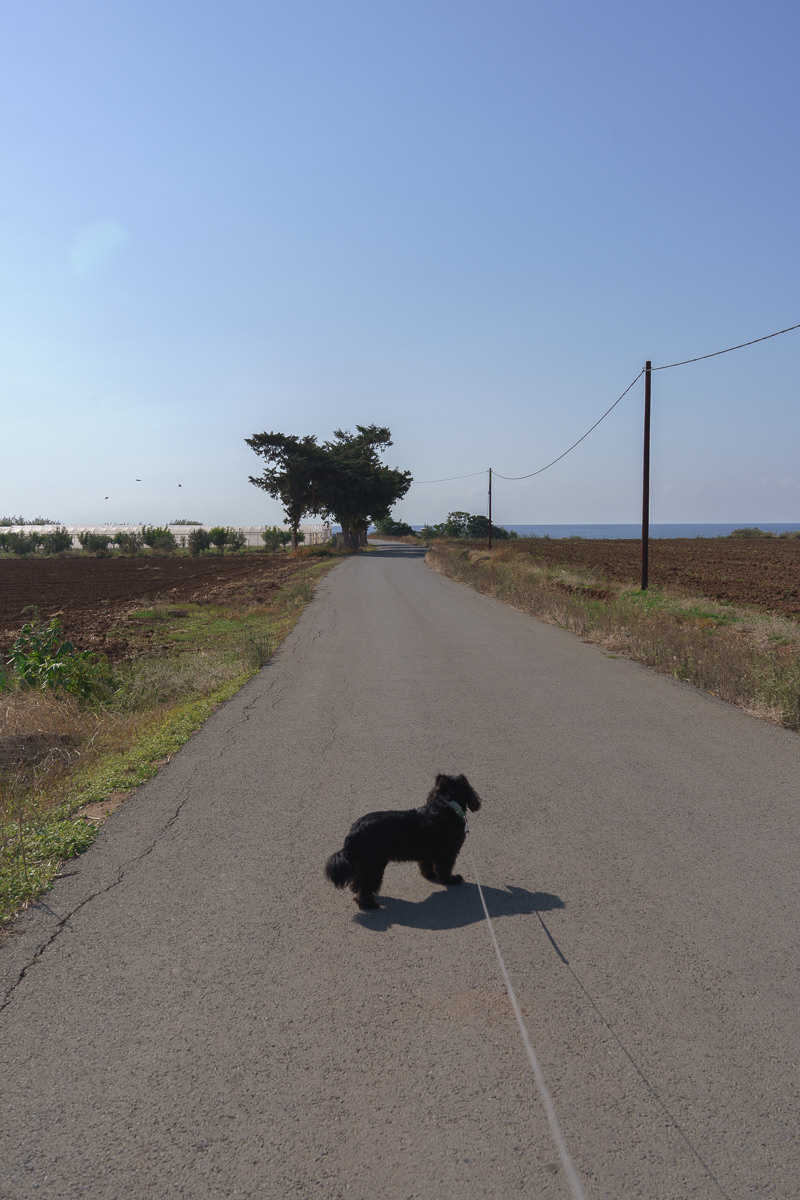 CY. Антонова | фото