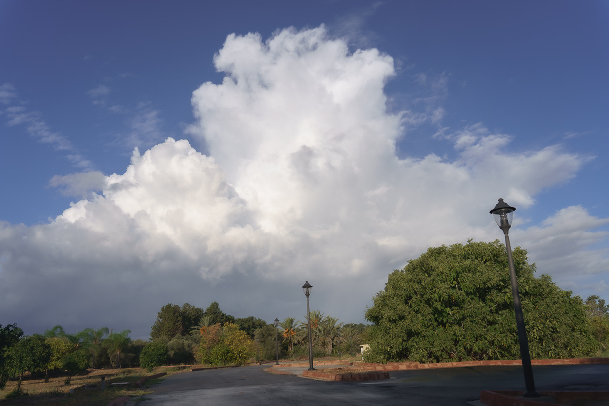 CY. Антонова | фото