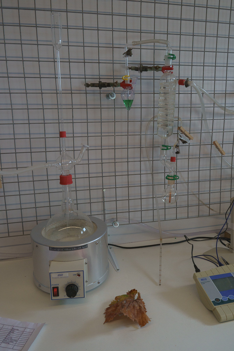 CY. Антонова | фото