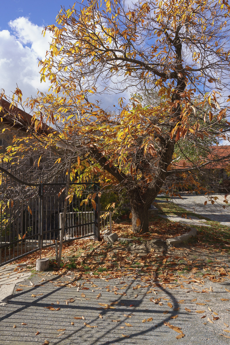 CY. Антонова | фото