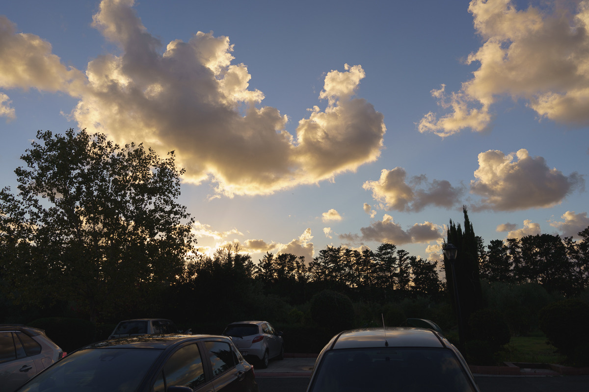 CY. Антонова | фото